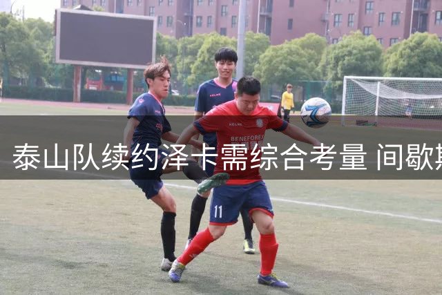 泰山队续约泽卡需综合考量 间歇期面临多重挑战